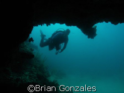 Diver in Key Large by Brian Gonzales 